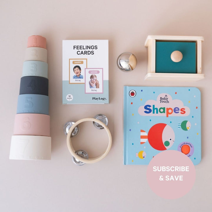 PlayBox Subscription 0-12 months