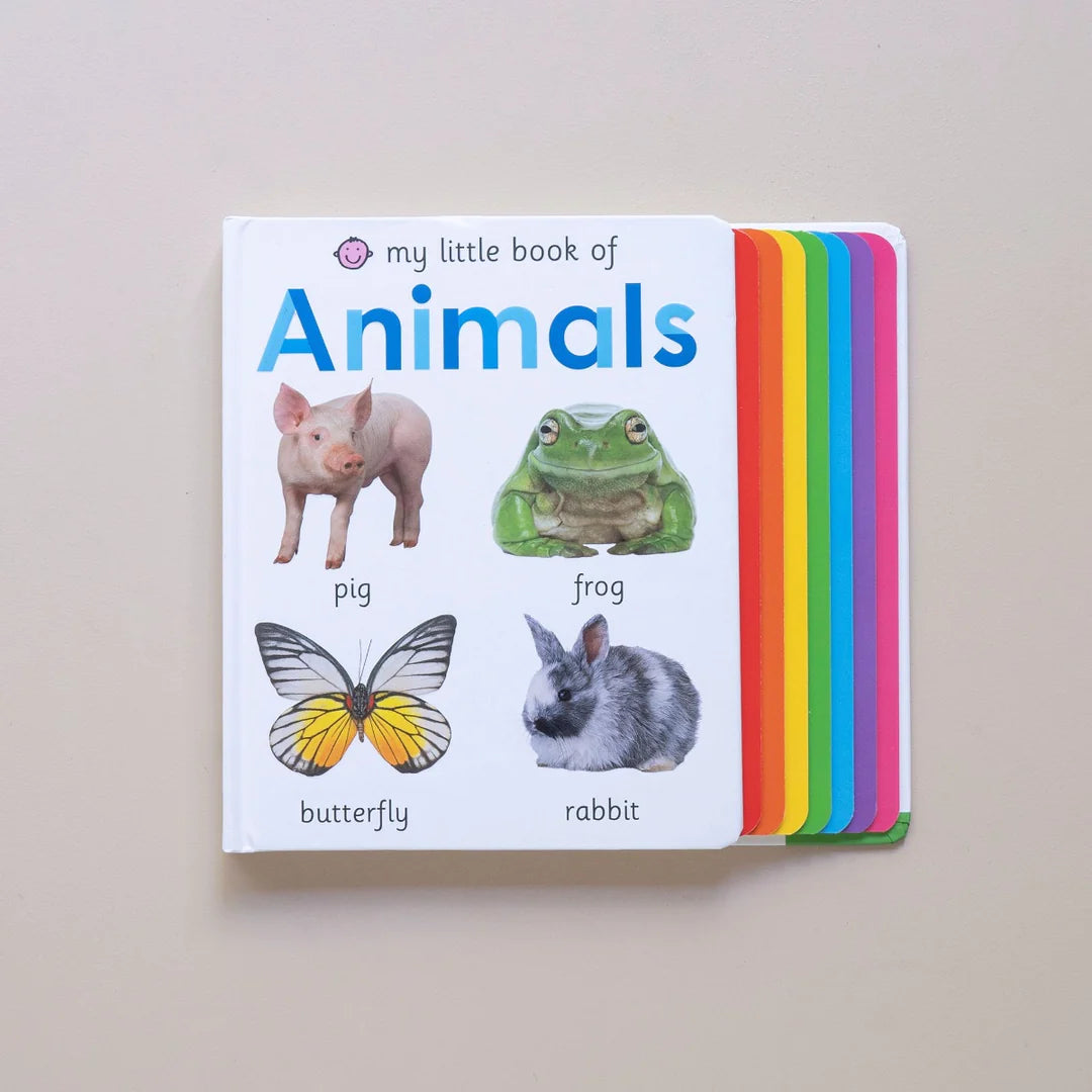 Animals Book with photographs